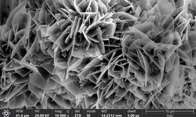 公海贵宾会5500iii(中国)有限公司官网